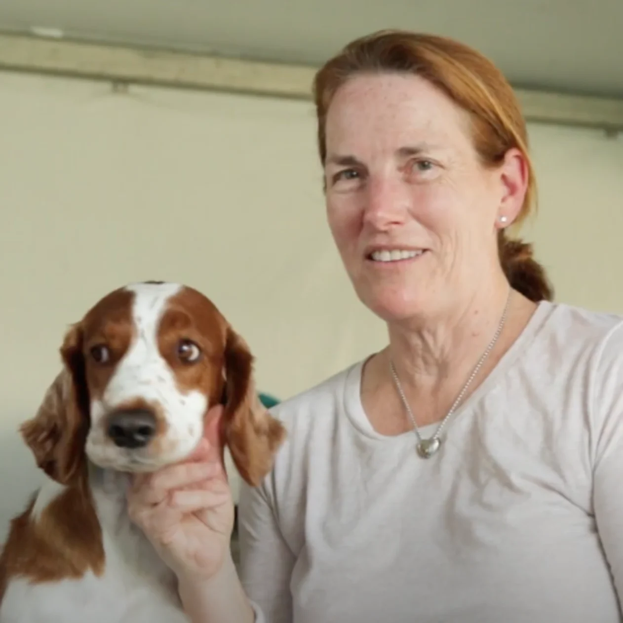 Local dog wins award at Westminster, Nvdaily