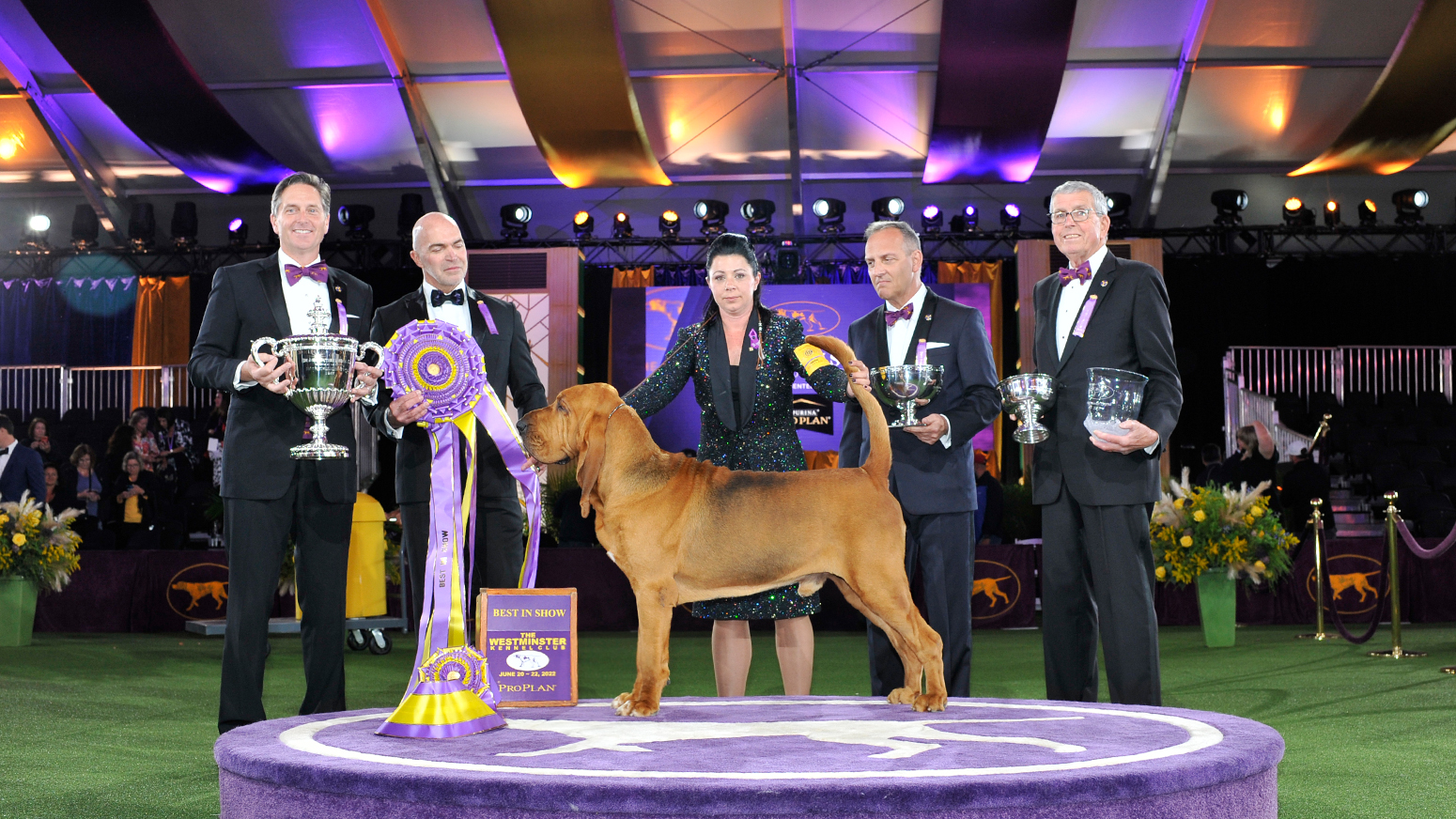 Who Won Best In Show At Westminster Dog Show
