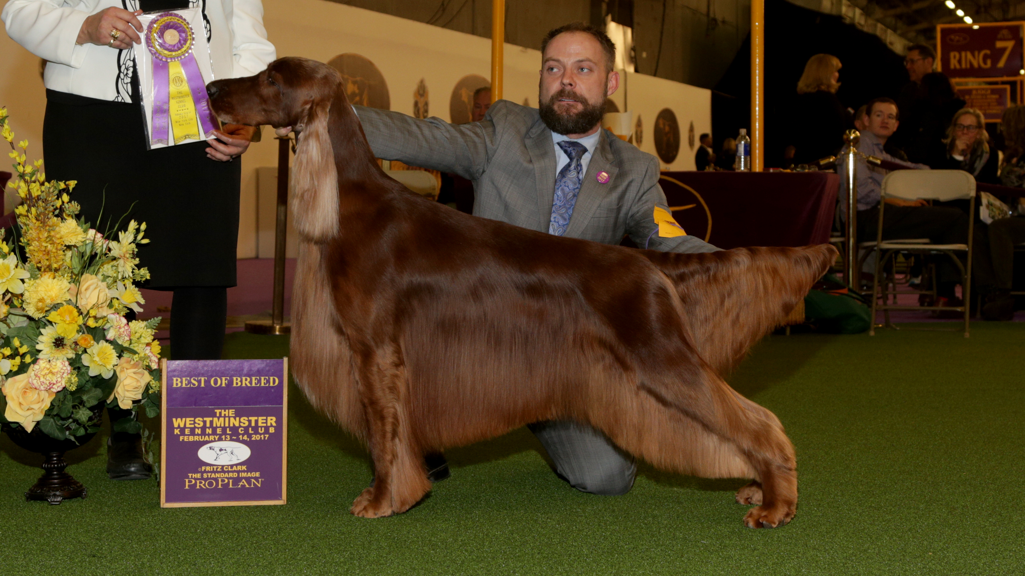 2020 Westminster Dog Show: A look at Westminster Kennel Club Dog Show Truly...